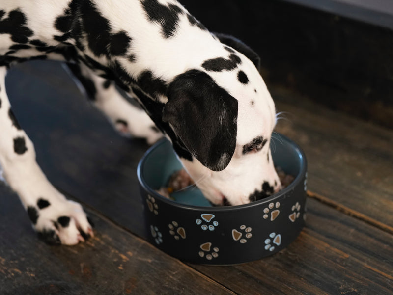 Uncle Benji’s Raw Dog Food: Sandy Black Pig Protein