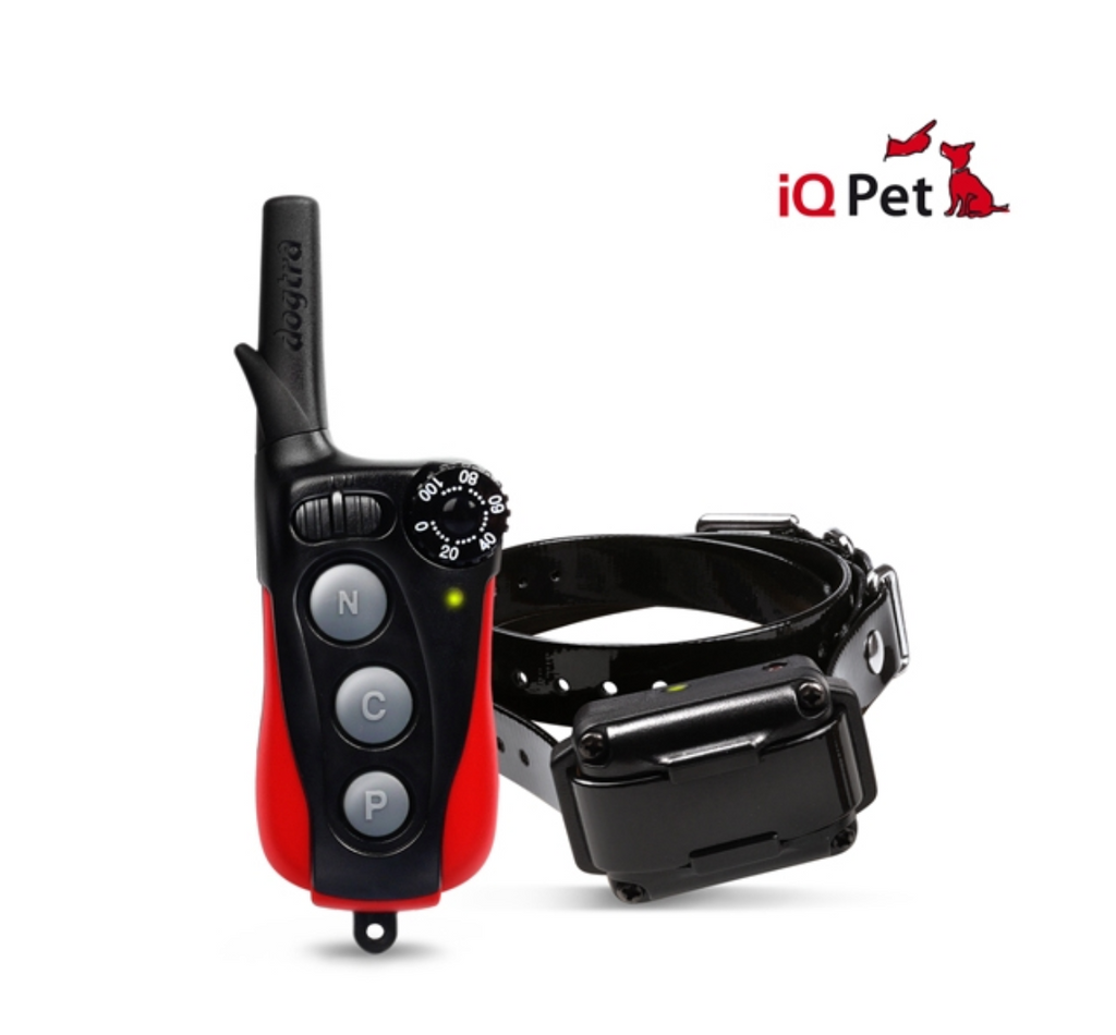 Dogtra iQ PLUS Training Collar