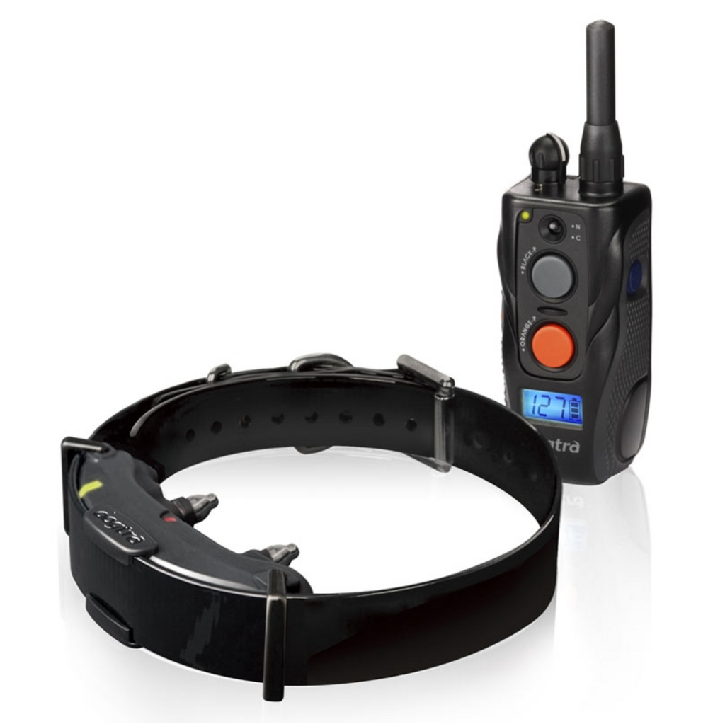 Dogtra ARC 800 Training Collar