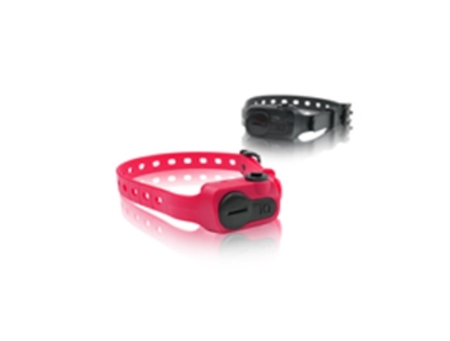 Dogtra iQ No Bark Dog Training Collar