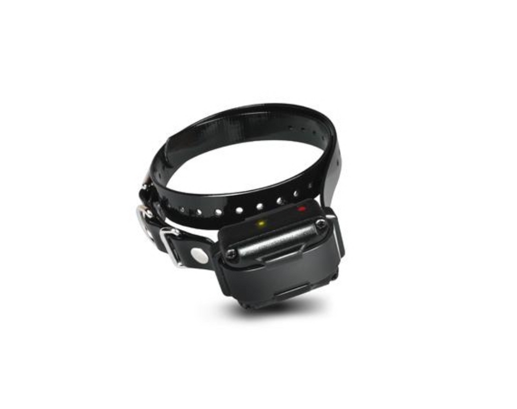 Dogtra iQ / iQ Plus Dog Training Collar