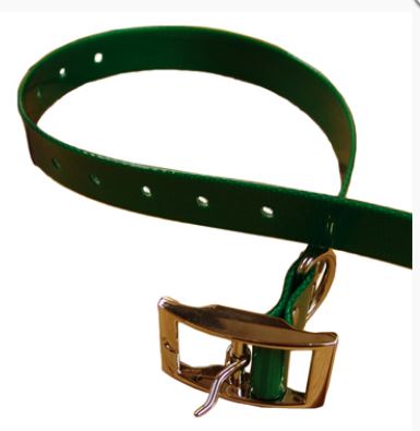 Classic Collar