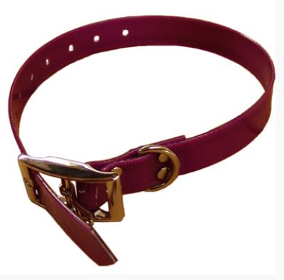 Classic Collar