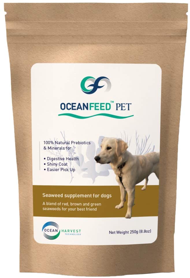 OceanFeed Pet - Seaweed Food Supplement for Dogs