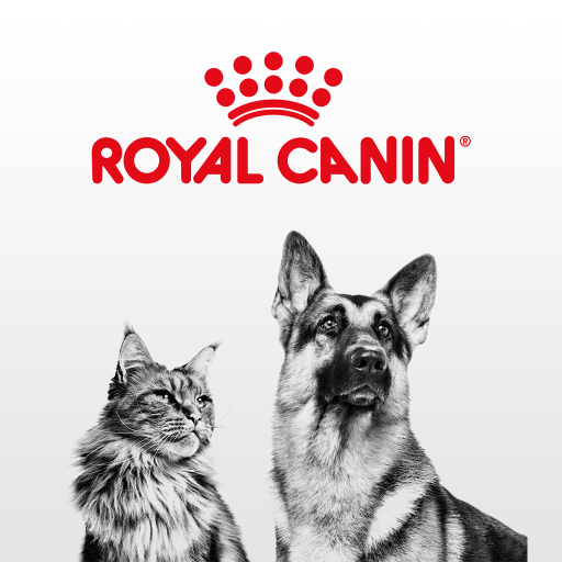 ROYAL CANIN PREMIUM DOG FOOD