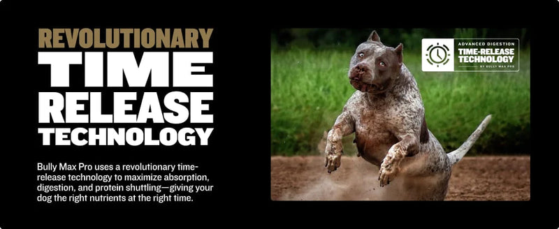 Bully max best sale performance chews