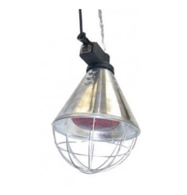 Heat Lamps & 250 watt bulb