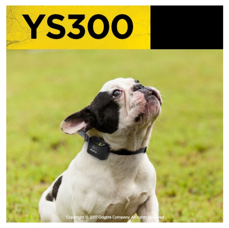 Dogtra YS 300 Dog Training Collar
